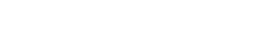 Local Real Estate Group